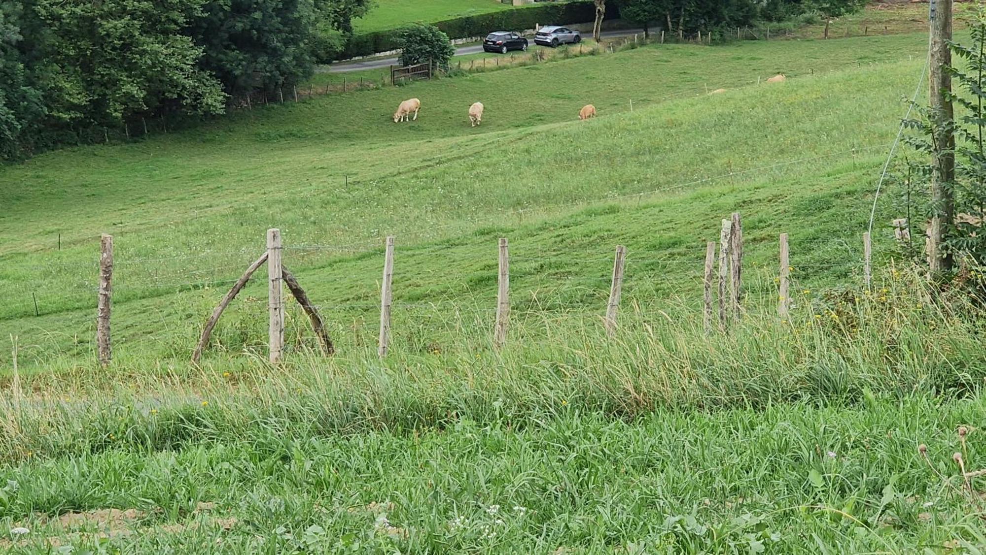 Les 3 Couronnes De Campingplatz *